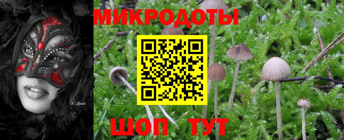 Галлюциногенные грибы MAGIC MUSHROOMS  Галлюциногенные грибы Magic Shrooms  Верхняя Пышма  Вход с VPN 